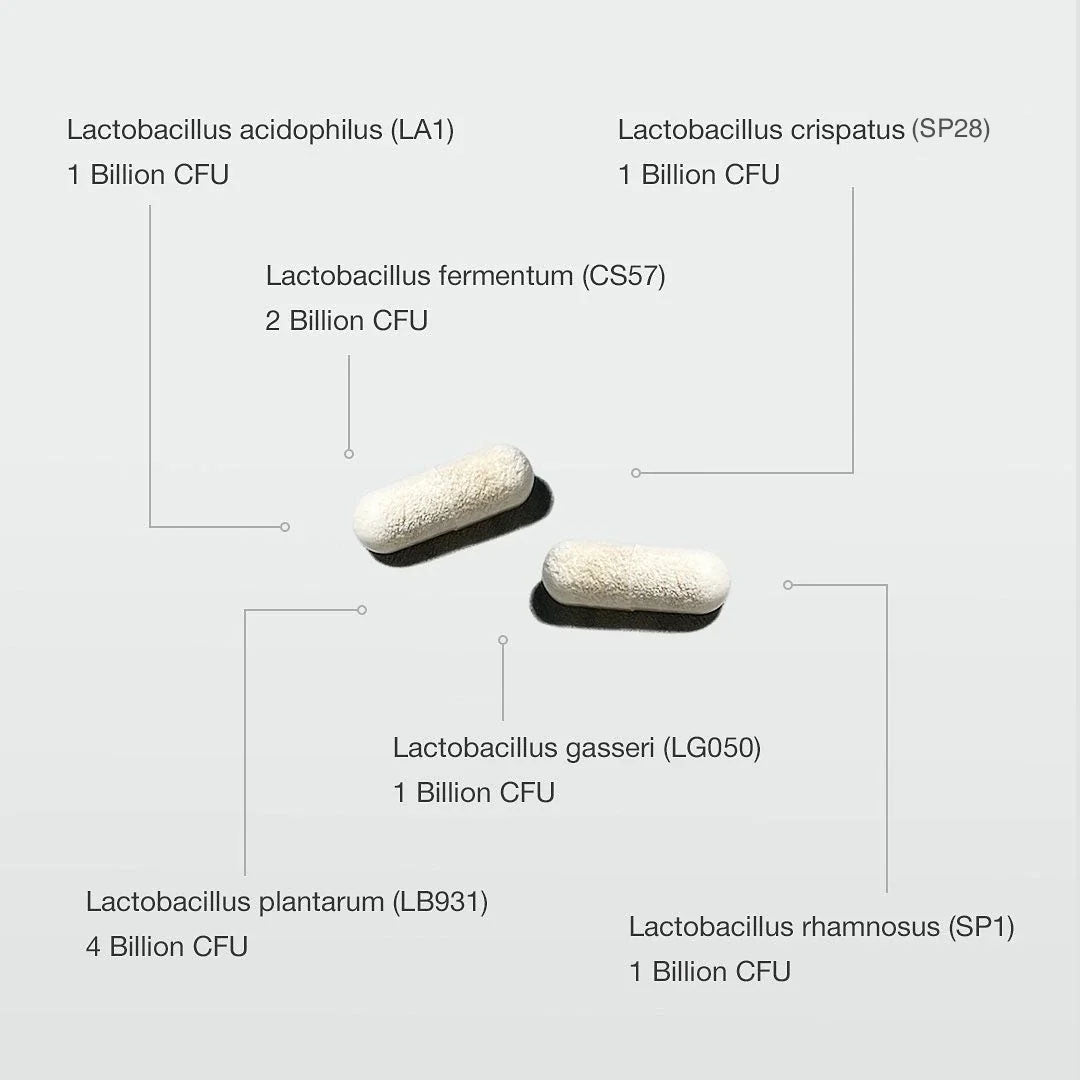 Arravite Women's Healthy Microflora Probiotics Double Strength - ARRAVITE